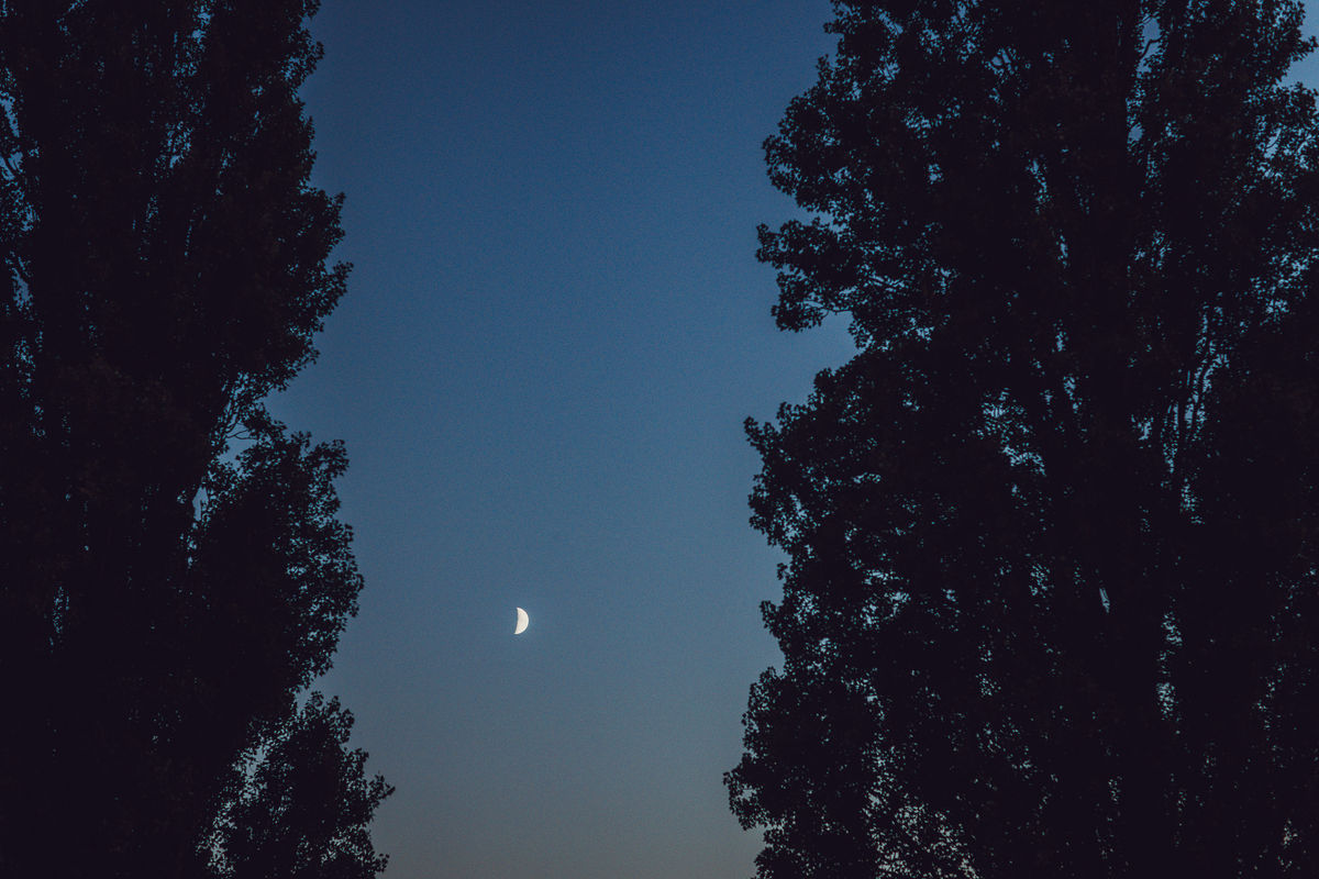 Loading... just a sec